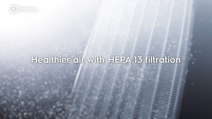 How do HEPA 13 and Carbon Filters work
