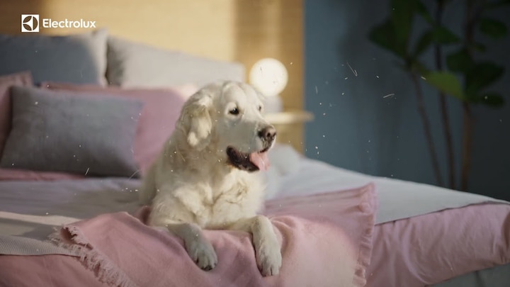 Well A5 - Four-step filtration - Complete air quality