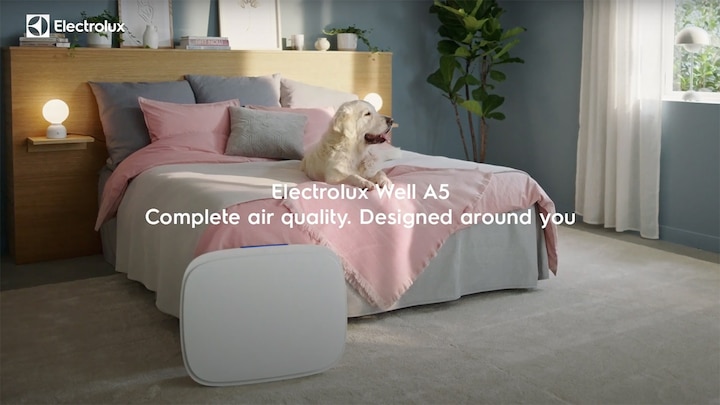 Electrolux Air Purification